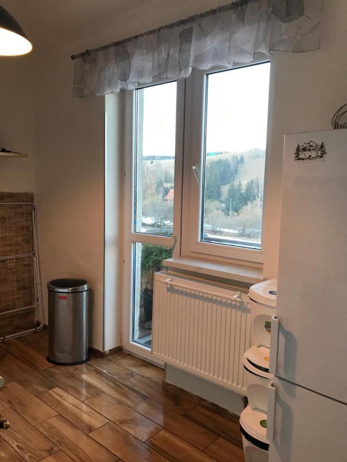 Apartman Orlicke Zahori Exteriör bild